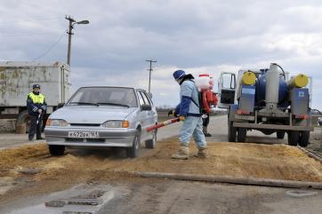 В колбасе из Ростовской области найден вирус африканской чумы свиней 